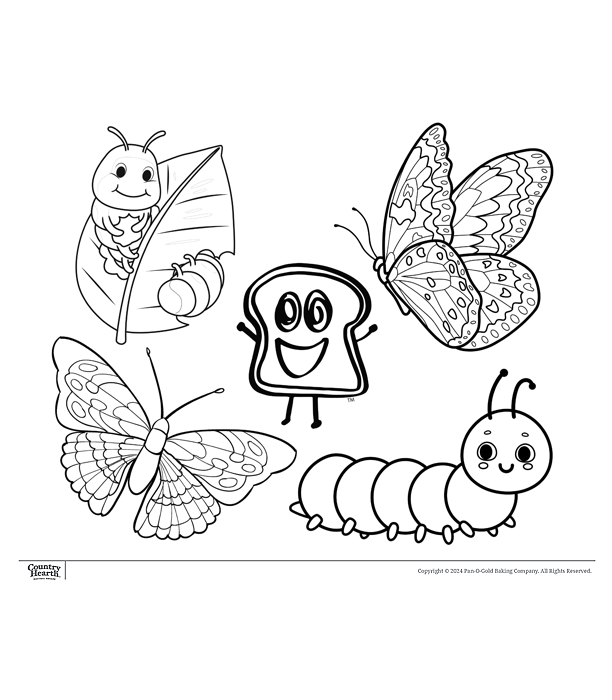 Butterflies